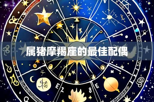 属猪摩羯座的最佳配偶