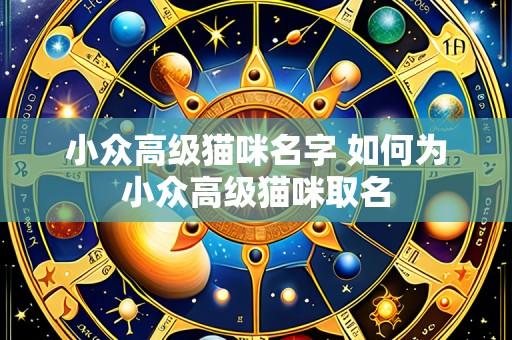 小众高级猫咪名字 如何为小众高级猫咪取名