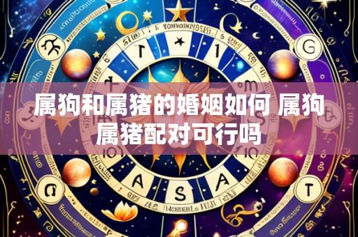 属狗和属猪的婚姻如何 属狗属猪配对可行吗