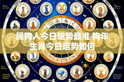 属狗人今日运势最准 狗年生肖今日运势如何