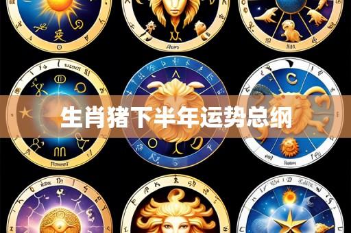 生肖猪下半年运势总纲