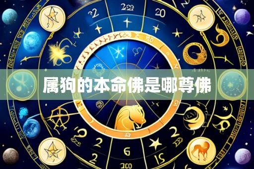 属狗的本命佛是哪尊佛