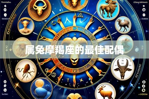 属兔摩羯座的最佳配偶