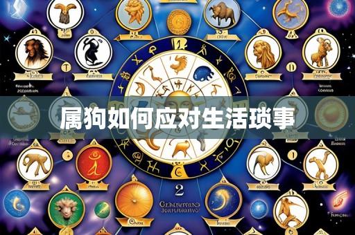 属狗如何应对生活琐事