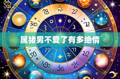 属猪男不爱了有多绝情