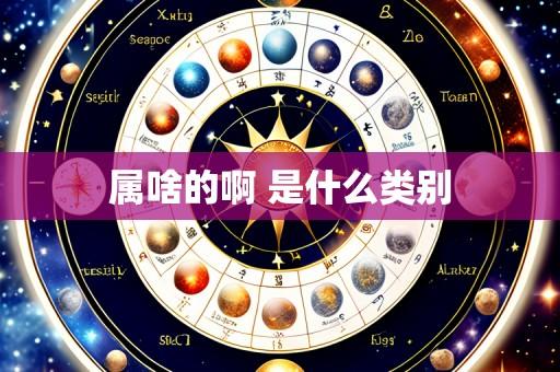 属啥的啊 是什么类别
