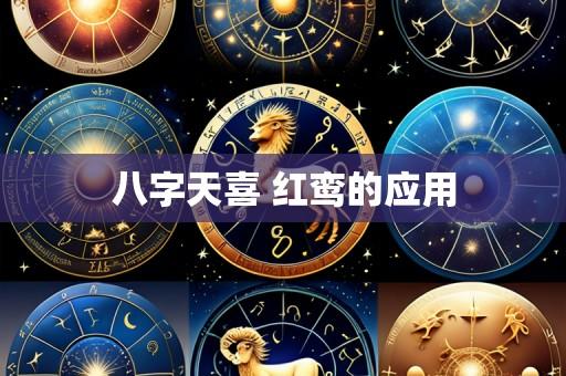 八字天喜 红鸾的应用