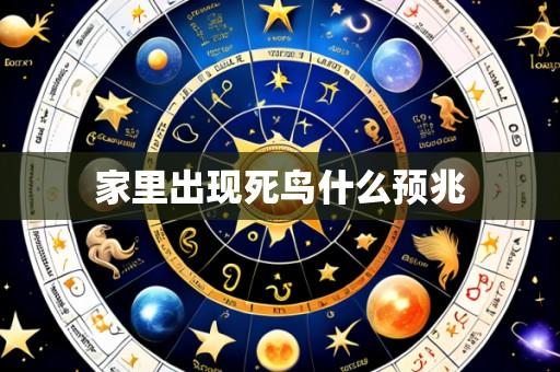 家里出现死鸟什么预兆