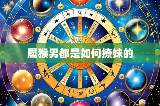 属猴男都是如何撩妹的