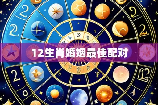 12生肖婚姻最佳配对