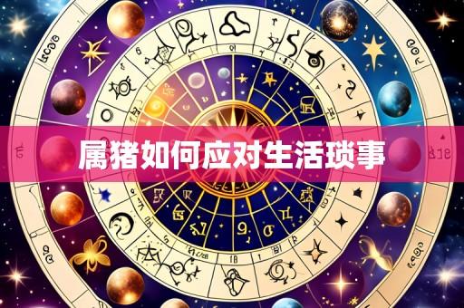 属猪如何应对生活琐事