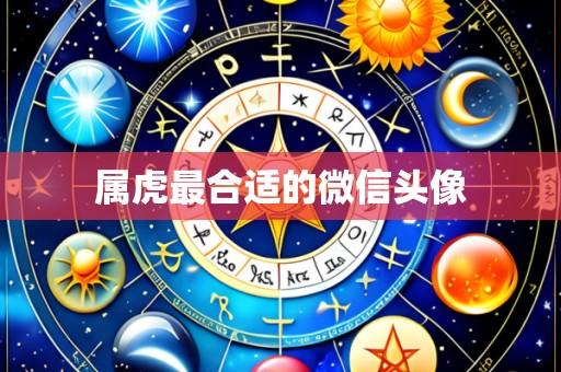 属虎最合适的微信头像