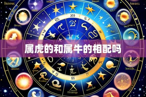 属虎的和属牛的相配吗