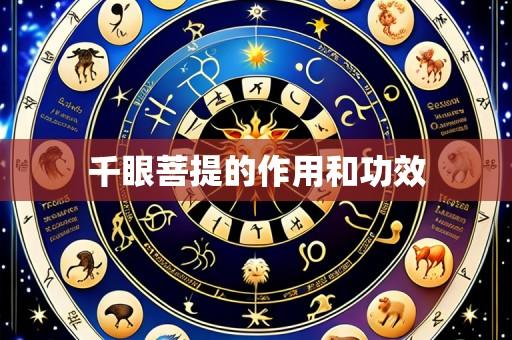 千眼菩提的作用和功效