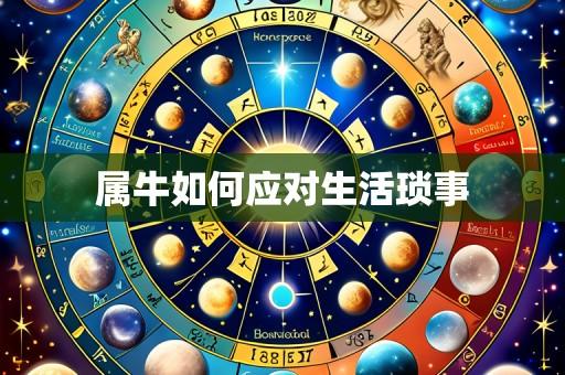 属牛如何应对生活琐事
