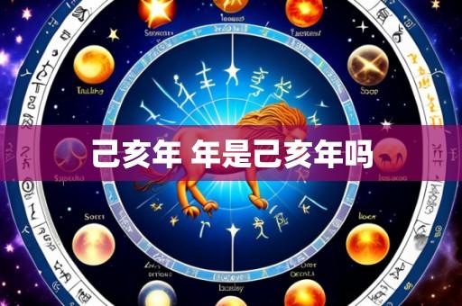 己亥年 年是己亥年吗