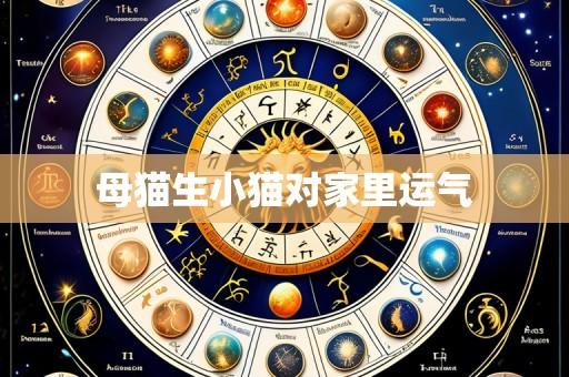 母猫生小猫对家里运气