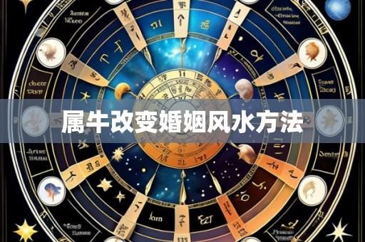 属牛改变婚姻风水方法