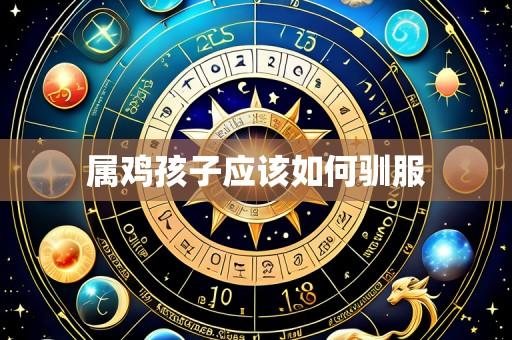 属鸡孩子应该如何驯服
