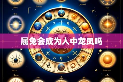 属兔会成为人中龙凤吗