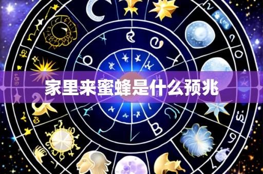 家里来蜜蜂是什么预兆