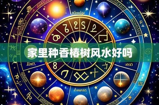 家里种香椿树风水好吗