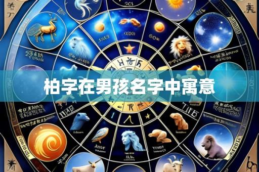 柏字在男孩名字中寓意