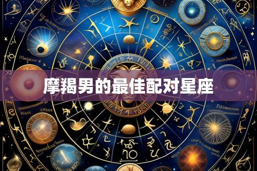 摩羯男的最佳配对星座
