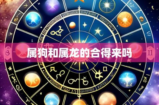 属狗和属龙的合得来吗