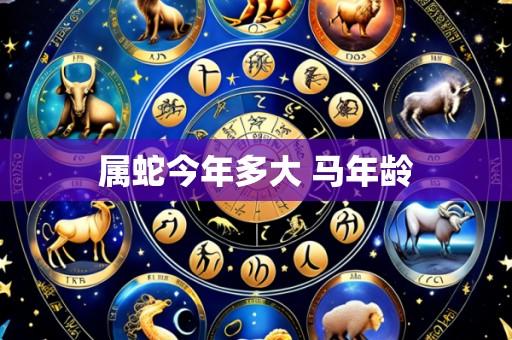 属蛇今年多大 马年龄