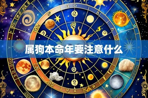 属狗本命年要注意什么
