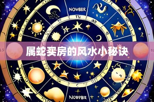 属蛇买房的风水小秘诀