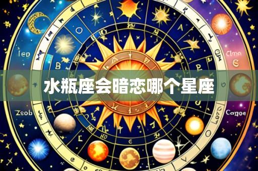 水瓶座会暗恋哪个星座