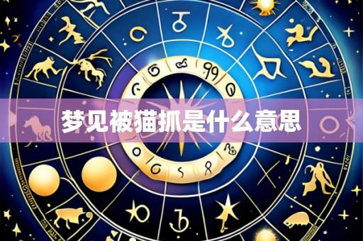 梦见被猫抓是什么意思