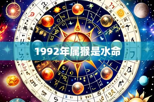 1992年属猴是水命