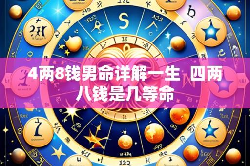 4两8钱男命详解一生 四两八钱是几等命