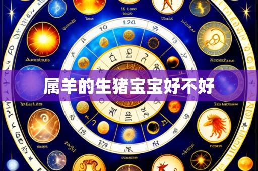 属羊的生猪宝宝好不好