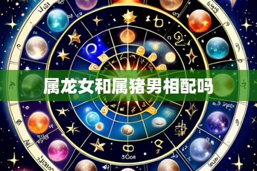 属龙女和属猪男相配吗