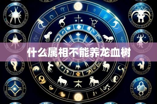 什么属相不能养龙血树