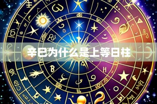 辛巳为什么是上等日柱