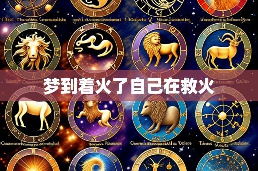 梦到着火了自己在救火