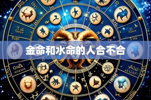 金命和水命的人合不合