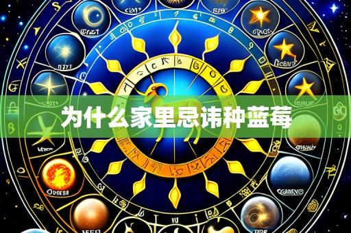 为什么家里忌讳种蓝莓