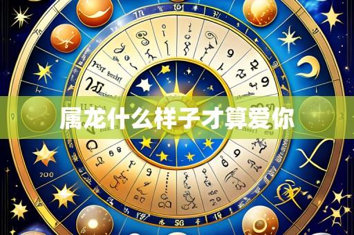 属龙什么样子才算爱你