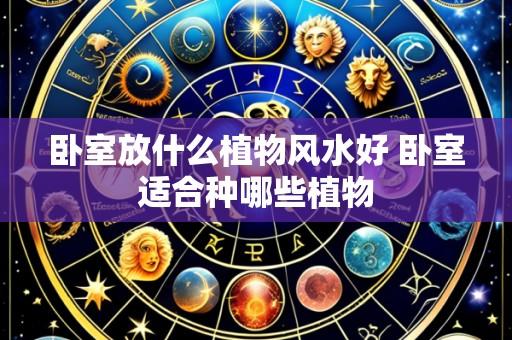 卧室放什么植物风水好 卧室适合种哪些植物