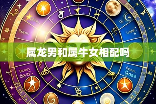 属龙男和属牛女相配吗