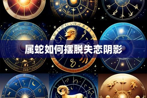 属蛇如何摆脱失恋阴影