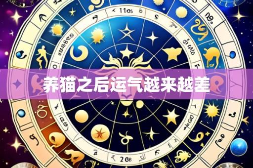 养猫之后运气越来越差