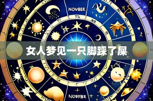女人梦见一只脚踩了屎
