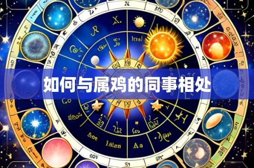 如何与属鸡的同事相处